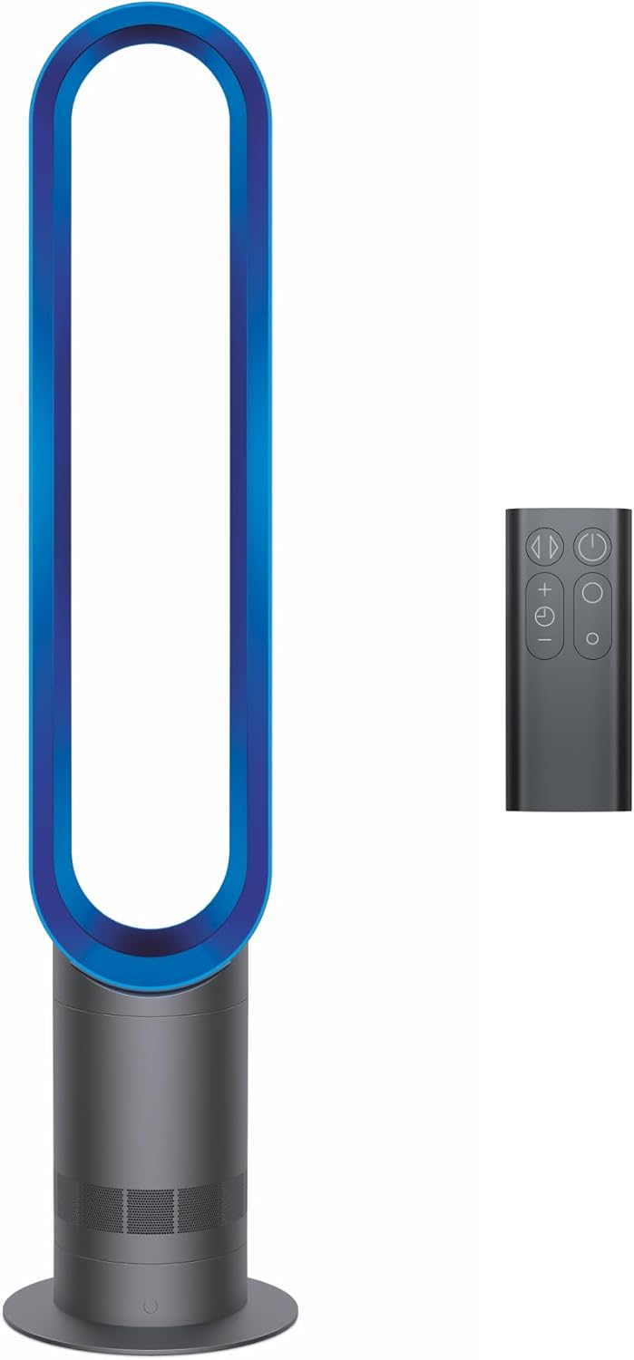 Dyson Cool AM07.jpg