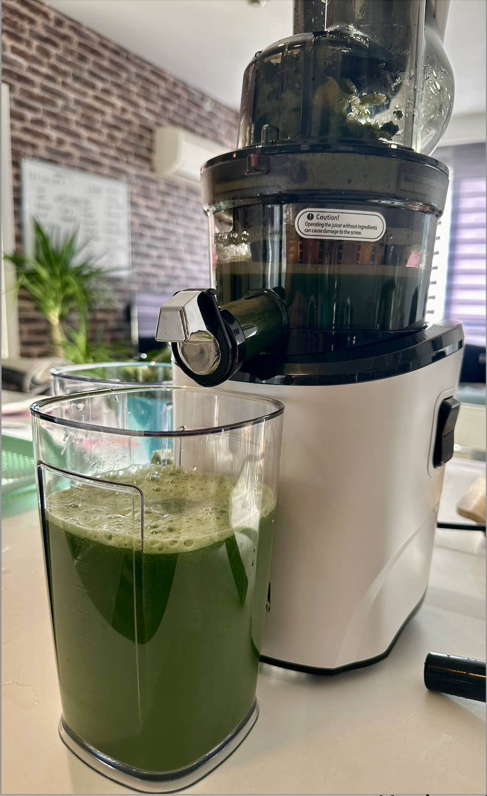 Kuvings juicer.png